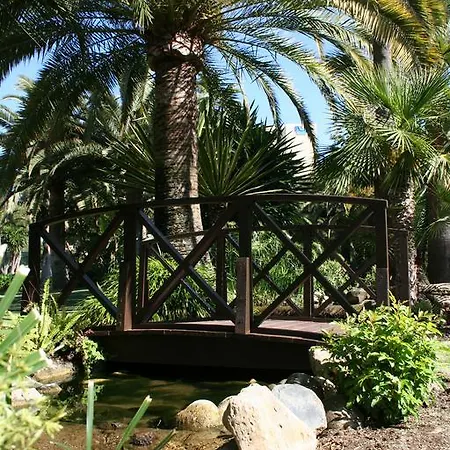 The Oasis By Don Carlos Hotel