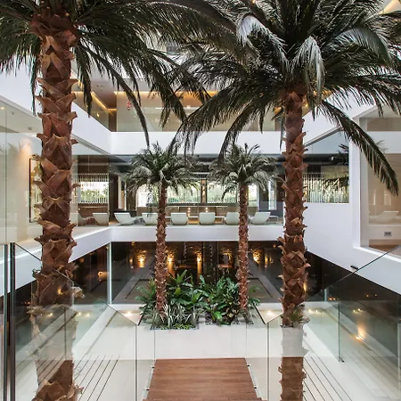 Hotel The Oasis By Don Carlos (adults Only) Marbella