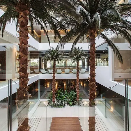 Hotel The Oasis By Don Carlos (adults Only)